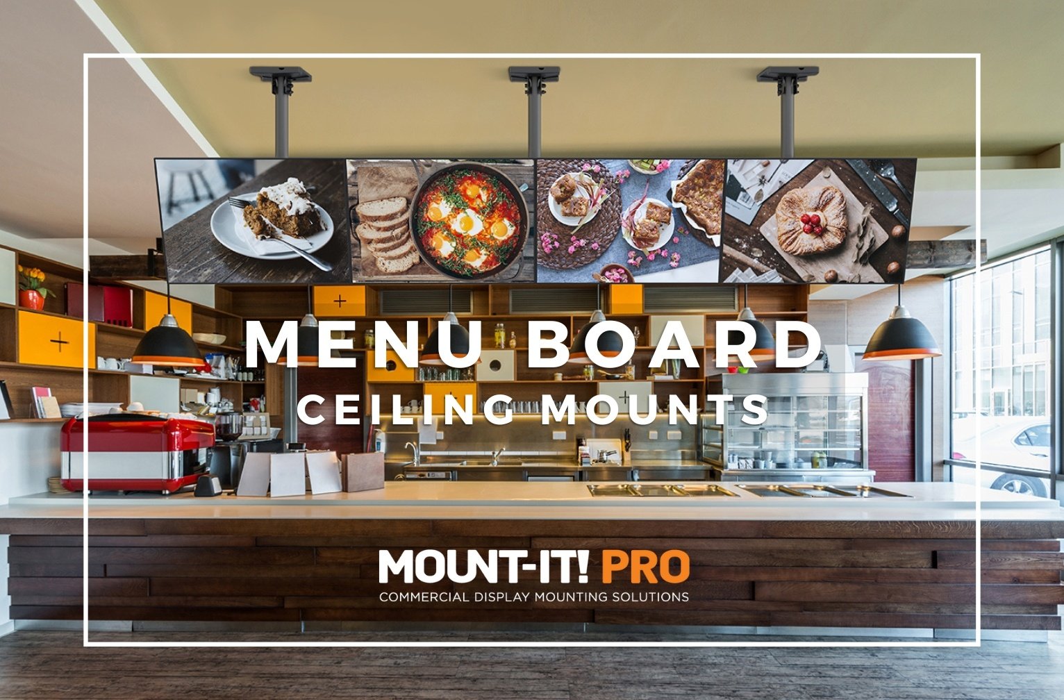 Ceiling Mounts